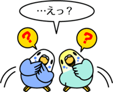 Budgerigar,budgie "Sekisei-inko" sticker #8000867