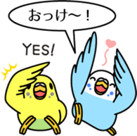Budgerigar,budgie "Sekisei-inko" sticker #8000868