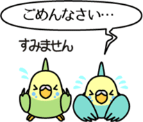 Budgerigar,budgie "Sekisei-inko" sticker #8000871