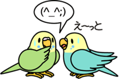 Budgerigar,budgie "Sekisei-inko" sticker #8000873