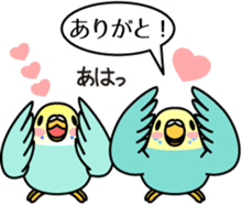 Budgerigar,budgie "Sekisei-inko" sticker #8000878