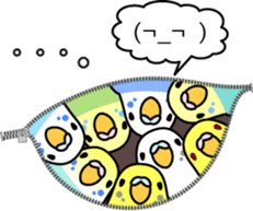 Budgerigar,budgie "Sekisei-inko" sticker #8000881