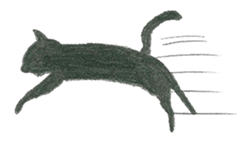 Black KiKi sticker #8002034