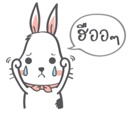 Barry : The fluffy bunny sticker #8002272