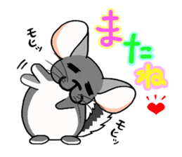 ChinChillaSanChi sticker #8004328