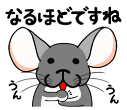 ChinChillaSanChi sticker #8004352