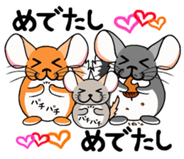 ChinChillaSanChi sticker #8004362