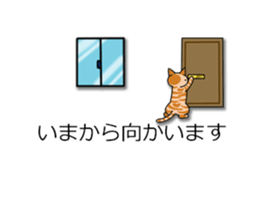 Crazy about CATS! sticker #8004768