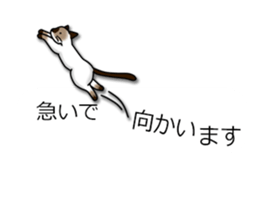 Crazy about CATS! sticker #8004769