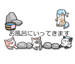 Crazy about CATS! sticker #8004771