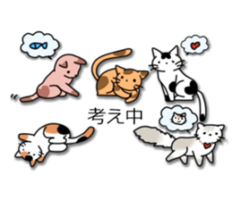 Crazy about CATS! sticker #8004774