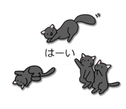 Crazy about CATS! sticker #8004786