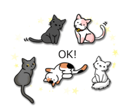 Crazy about CATS! sticker #8004787