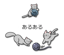 Crazy about CATS! sticker #8004788