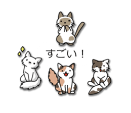 Crazy about CATS! sticker #8004794