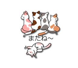 Crazy about CATS! sticker #8004798