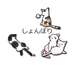 Crazy about CATS! sticker #8004799