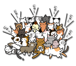 Crazy about CATS! sticker #8004803