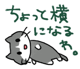 Exciting cat!! sticker #8005505