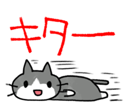 Exciting cat!! sticker #8005519