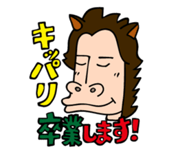 Carnavi Radio Afternoon No.1 - HBC Radio sticker #8006076