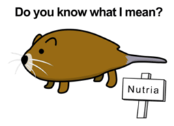 The amiable animals (English) sticker #8006467