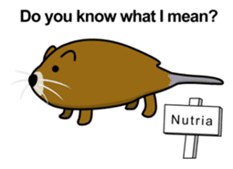 The amiable animals (English) sticker #8006467