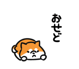 Akita dialects and Akita Inu sticker #8006574