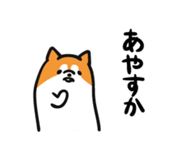 Akita dialects and Akita Inu sticker #8006581