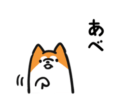Akita dialects and Akita Inu sticker #8006584