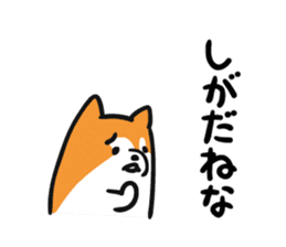 Akita dialects and Akita Inu sticker #8006589