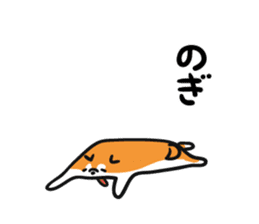 Akita dialects and Akita Inu sticker #8006602