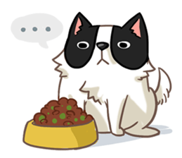 I'm Bangkaew.. wait WHAT!? sticker #8007291