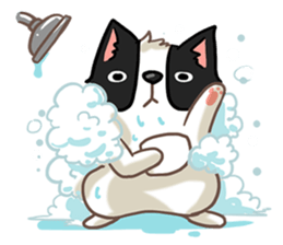 I'm Bangkaew.. wait WHAT!? sticker #8007298