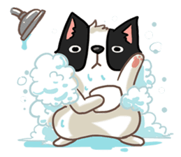 I'm Bangkaew.. wait WHAT!? sticker #8007298