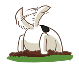 I'm Bangkaew.. wait WHAT!? sticker #8007302