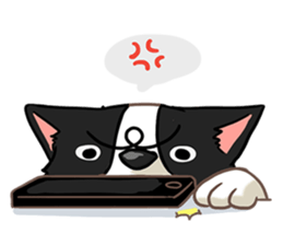 I'm Bangkaew.. wait WHAT!? sticker #8007307