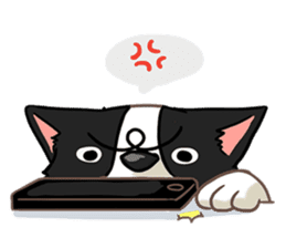 I'm Bangkaew.. wait WHAT!? sticker #8007307