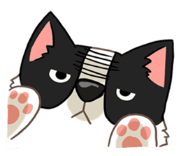 I'm Bangkaew.. wait WHAT!? sticker #8007308