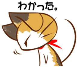 Calico cat of a red ribbon sticker #8008967