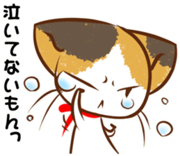 Calico cat of a red ribbon sticker #8008973