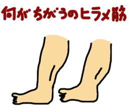 muscle song sticker #8008942