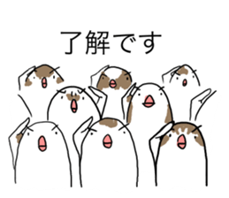 A Mass of Bengalese Finches sticker #8009805