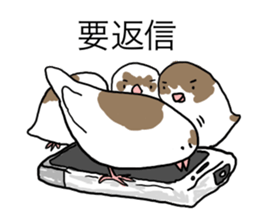 A Mass of Bengalese Finches sticker #8009808