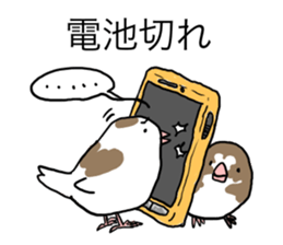 A Mass of Bengalese Finches sticker #8009811