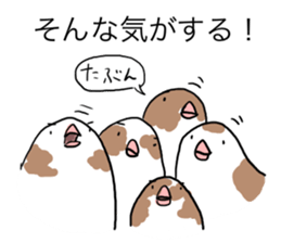 A Mass of Bengalese Finches sticker #8009821