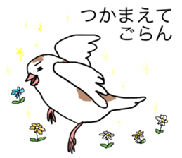 A Mass of Bengalese Finches sticker #8009824