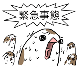 A Mass of Bengalese Finches sticker #8009831