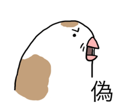 A Mass of Bengalese Finches sticker #8009833