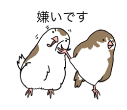 A Mass of Bengalese Finches sticker #8009835